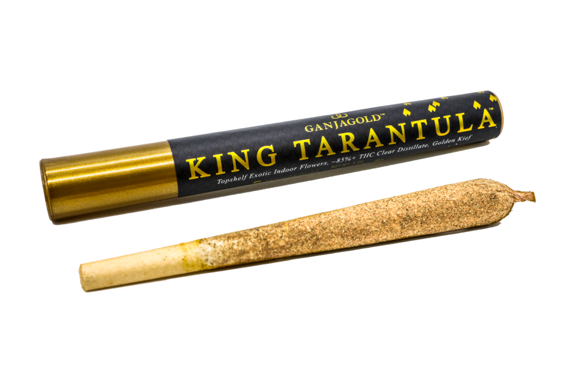 Ganja Gold King Tarantula